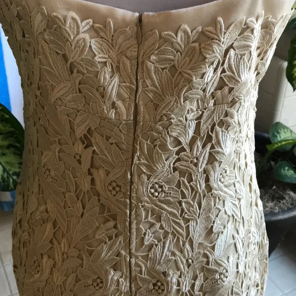 Daymor Couture absolutely stunning